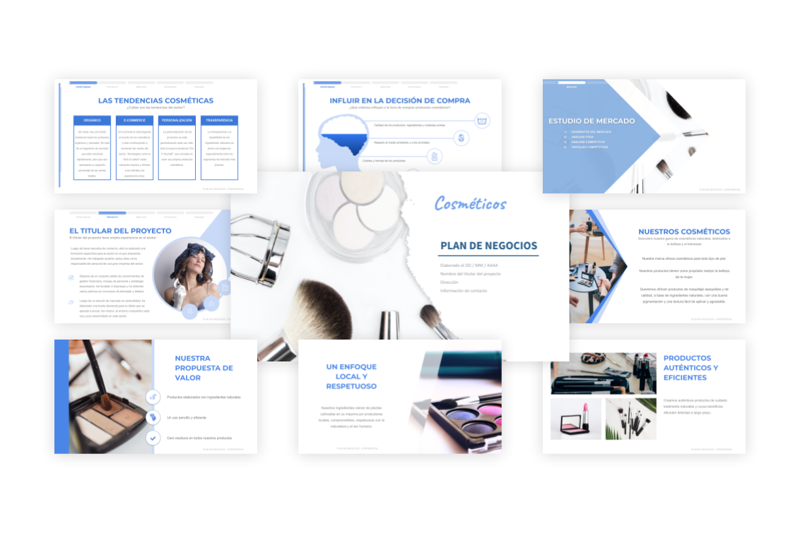 Plan de Negocios Cosméticos