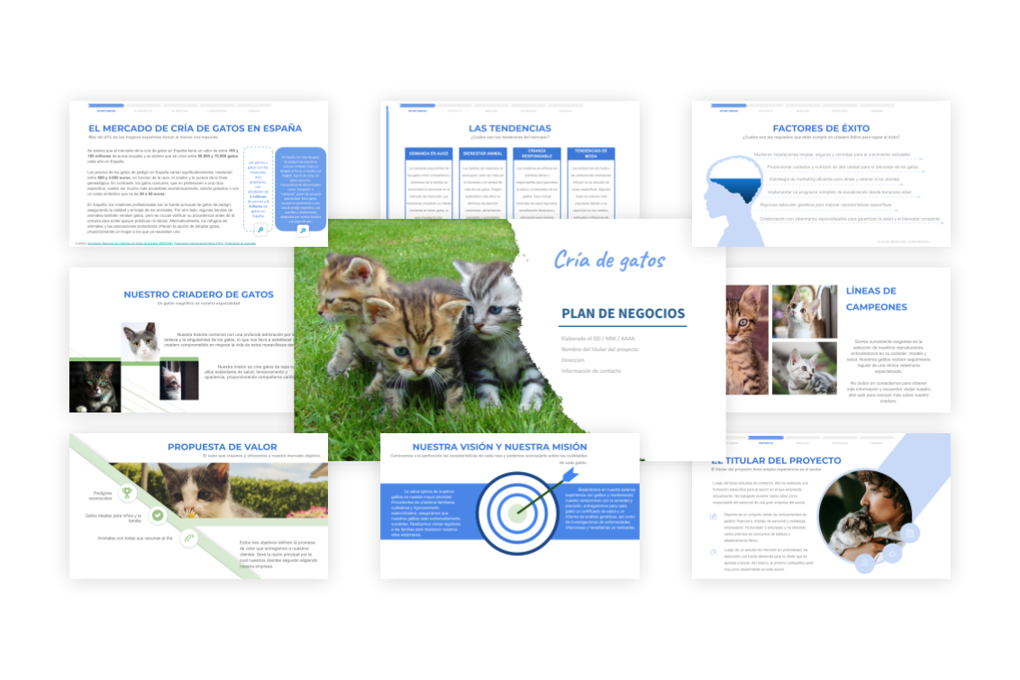 Plan de Negocios Cría De Gatos