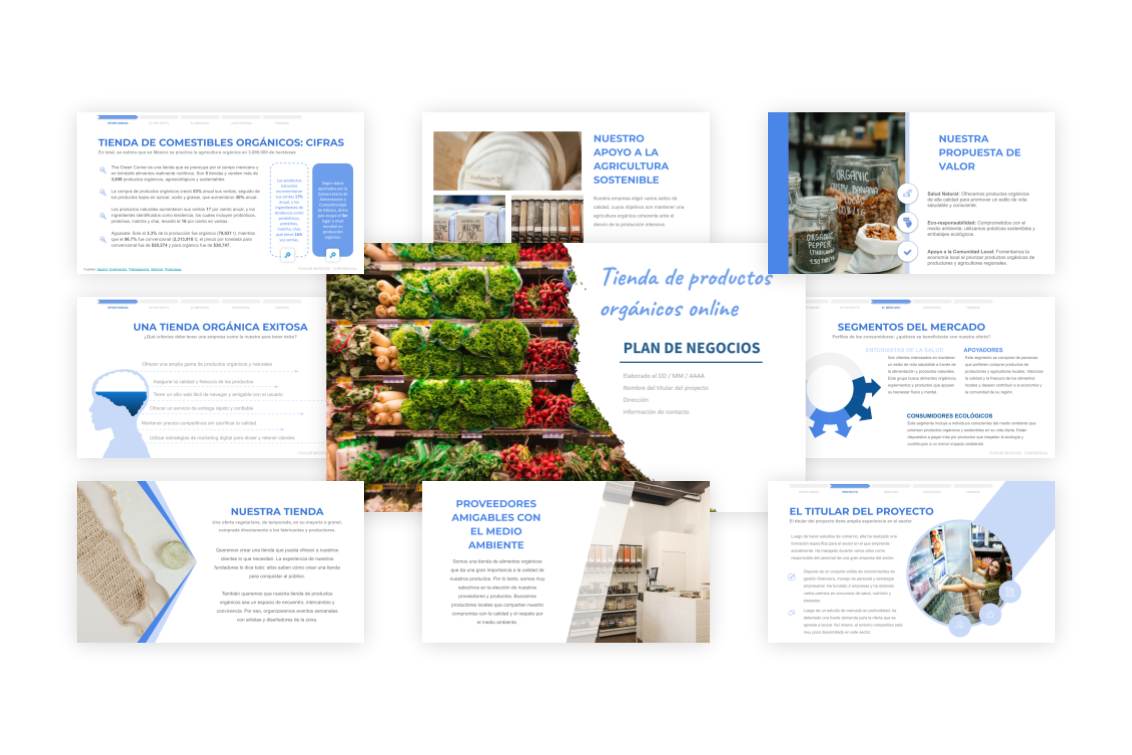 Plan de Negocios Tienda Orgánica En Línea