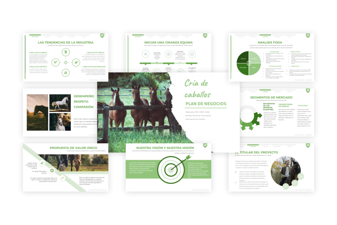 Plan de Negocios Cría De Caballos