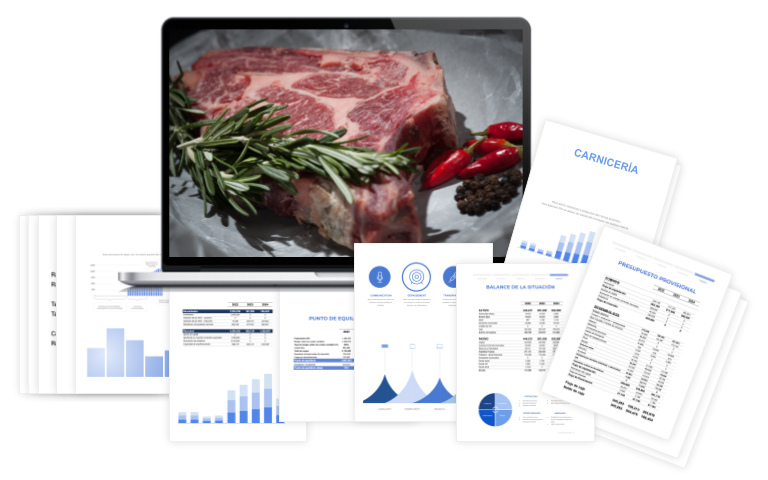 Plan Financiero Carnicería
