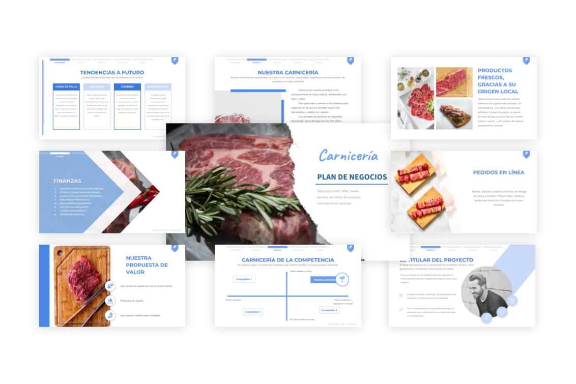 Plan de Negocios Carnicería