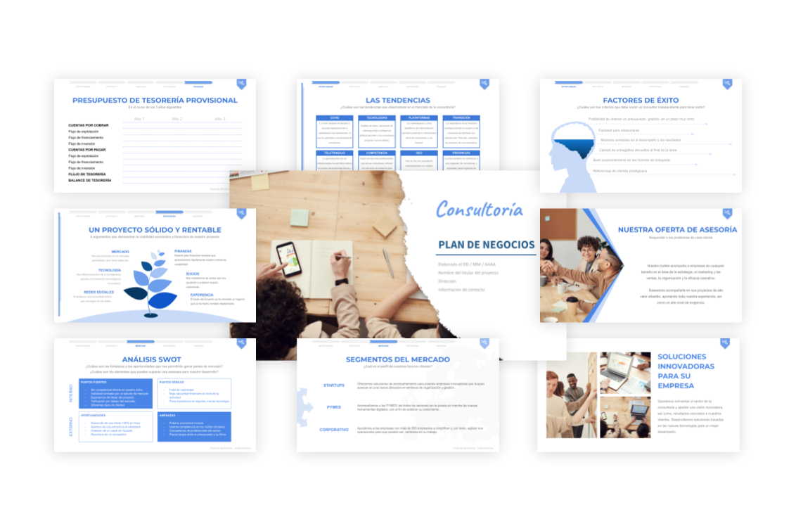 Plan de Negocios Consultoría