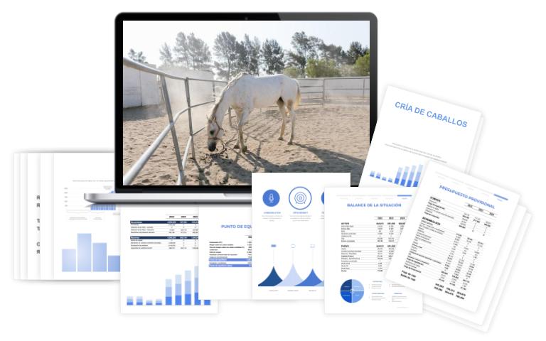 Plan Financiero Cría De Caballos