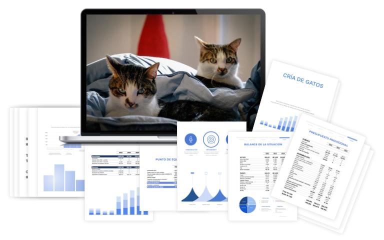 Plan Financiero Cría De Gatos