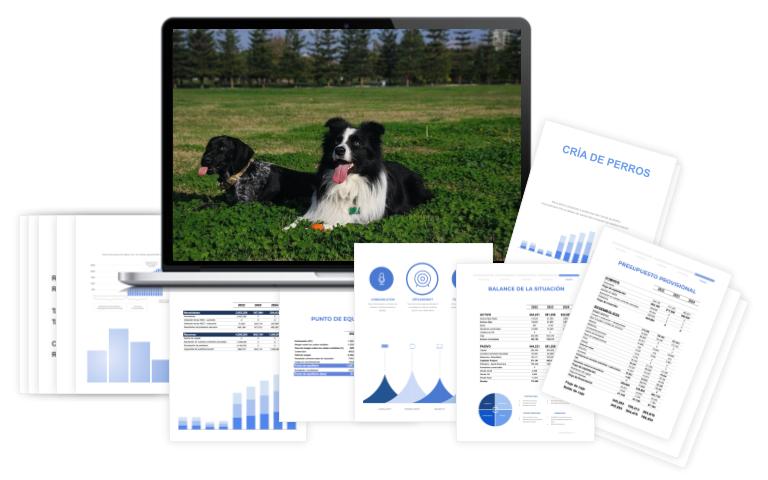 Plan Financiero Cría De Perros