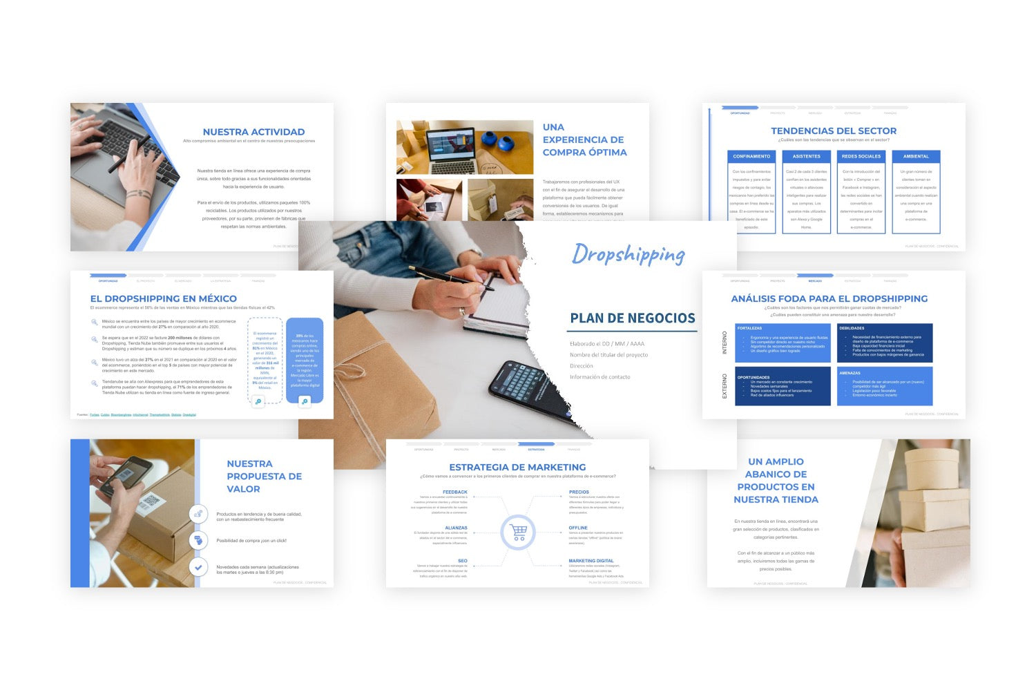 Plan de Negocios Dropshipping