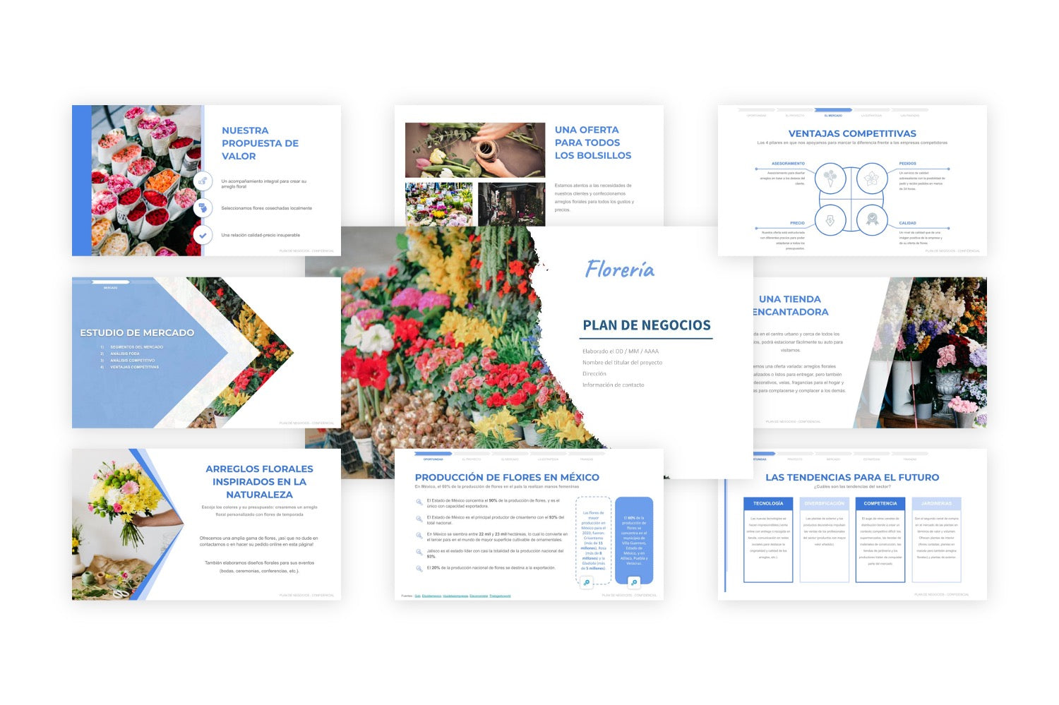 Plan de Negocios Florería