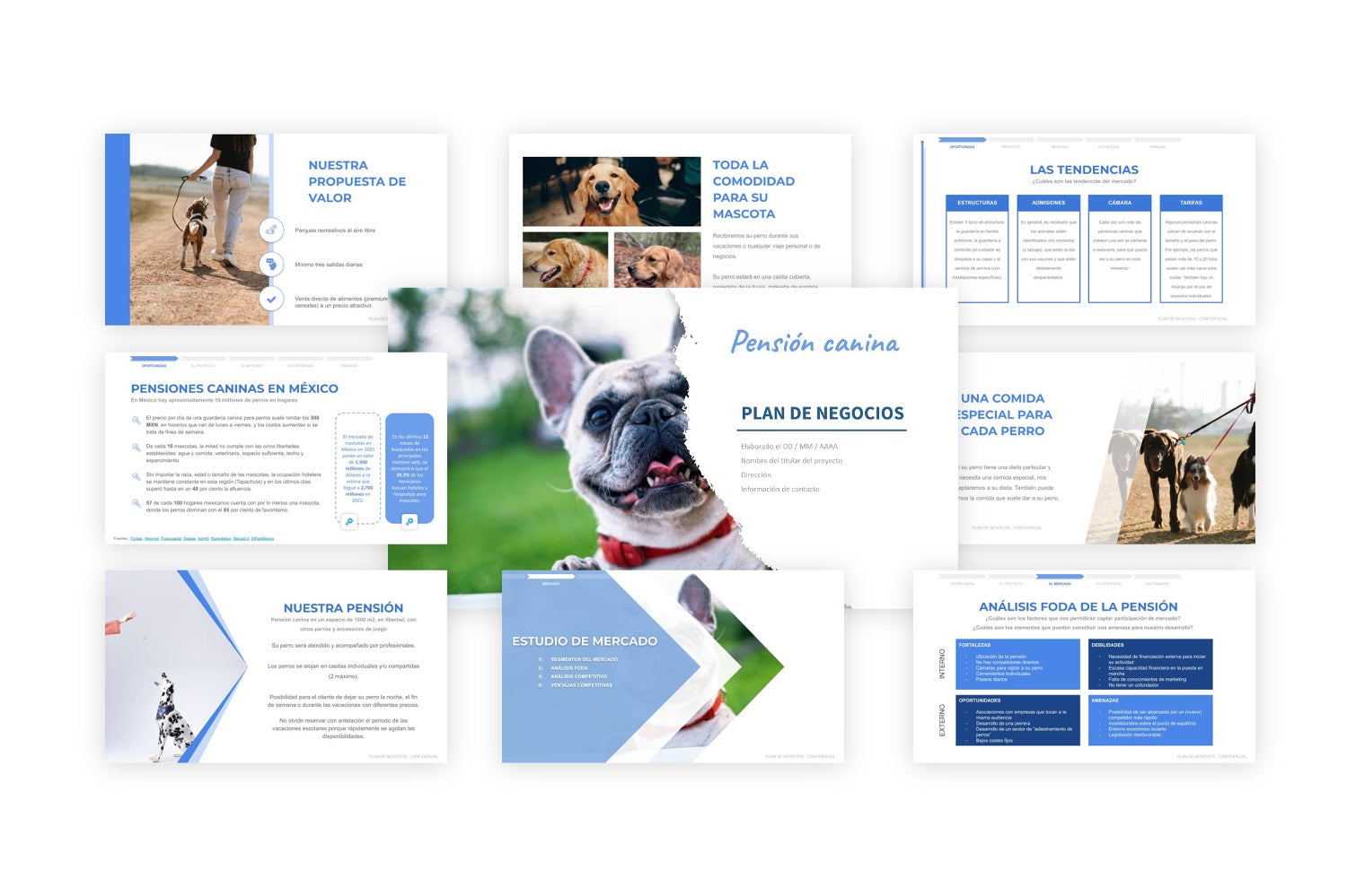 Plan de Negocios Pensión Canina