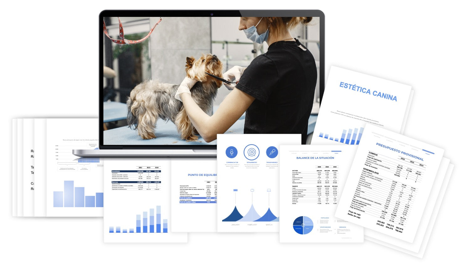 Plan Financiero Estética Canina