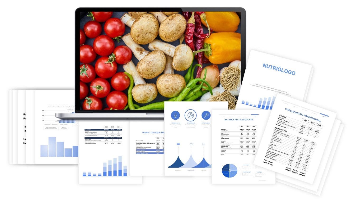 Plan Financiero Nutriólogo