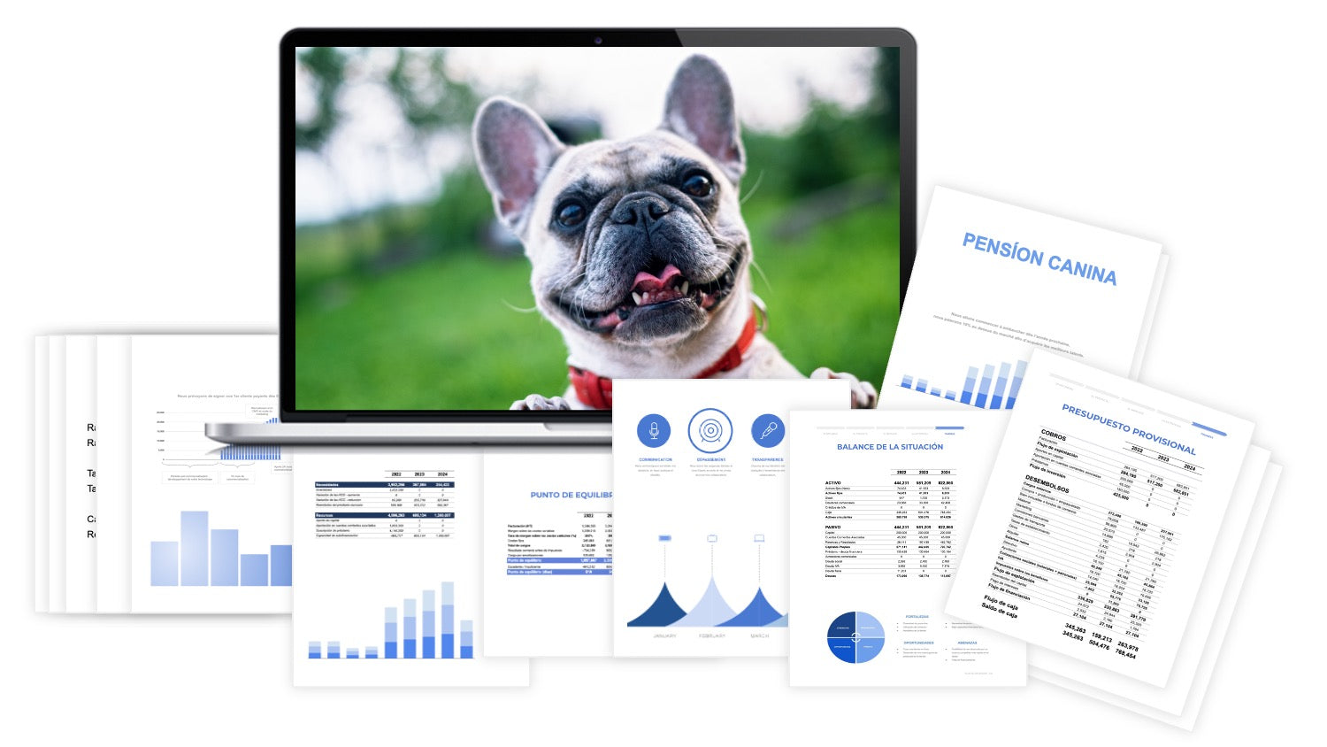 Plan Financiero Pensión Canina