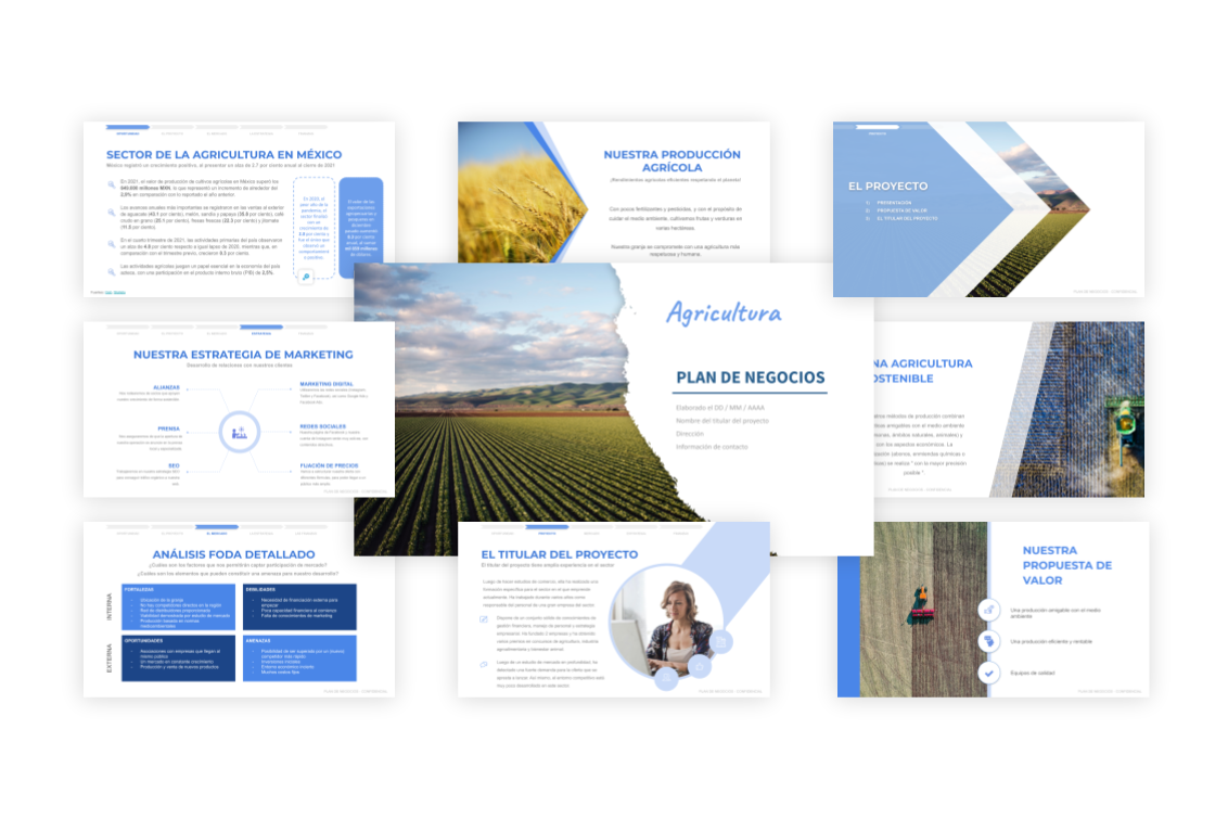 Plan de Negocios Agricultura