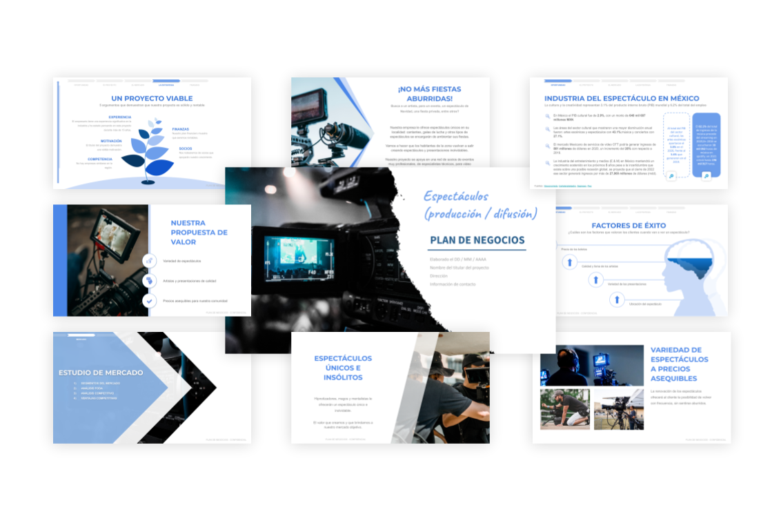 Plan de Negocios Espectáculos (producción / difusión)