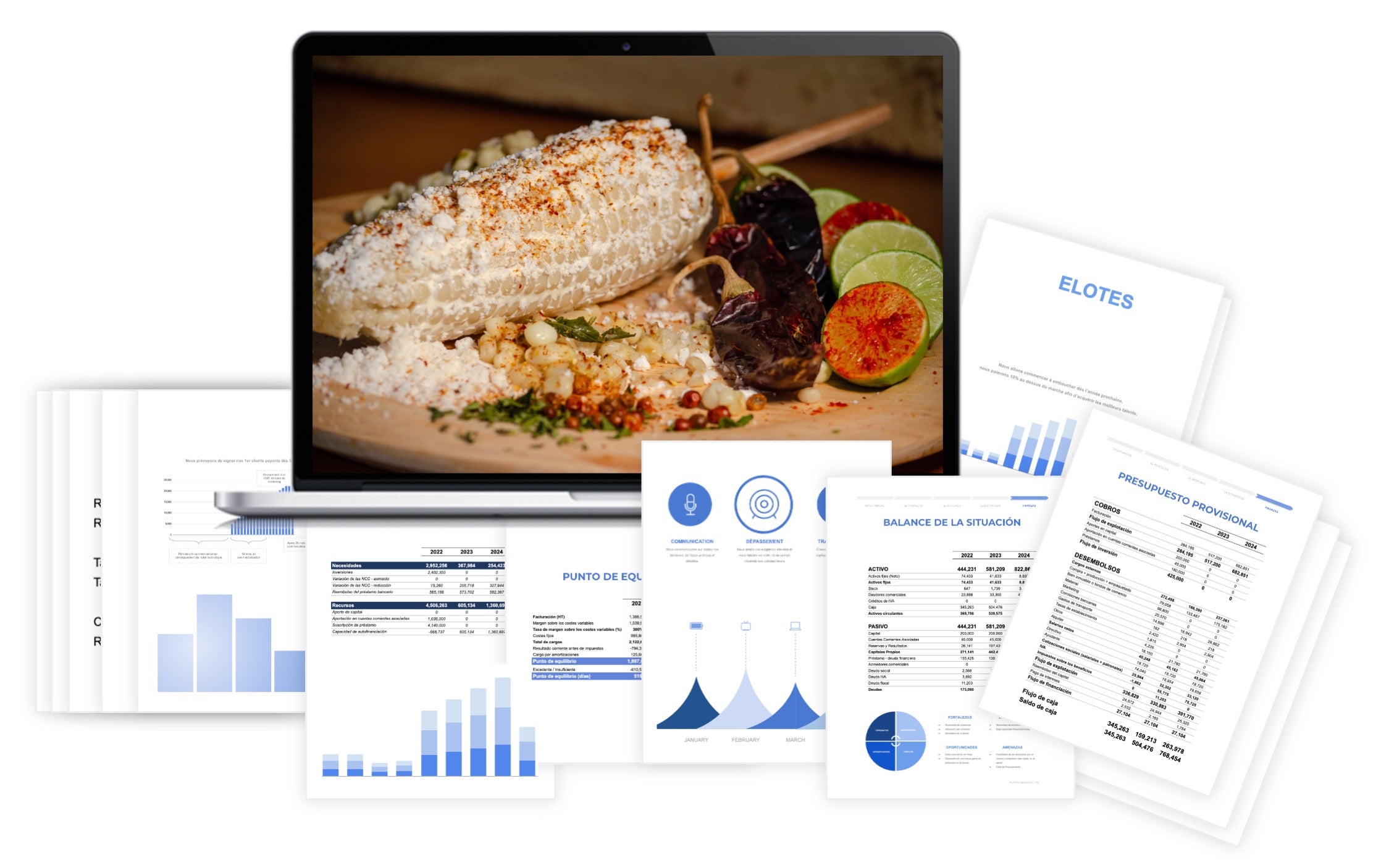 Plan Financiero Elotes