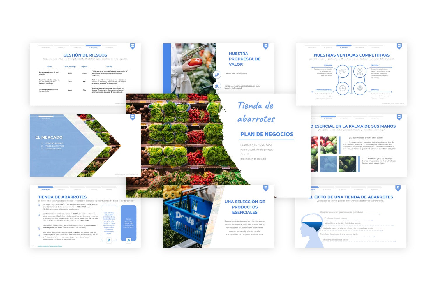 Plan de Negocios Tienda de Abarrotes
