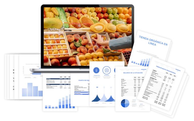 Plan Financiero Tienda Orgánica En Línea