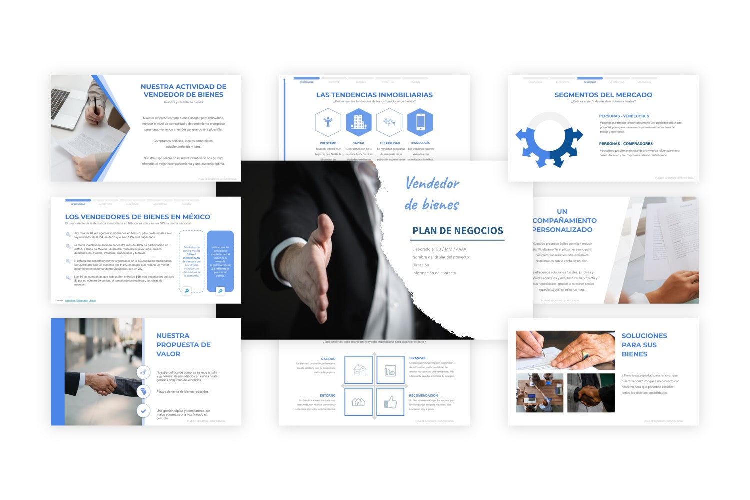Plan de Negocios Vendedor de Bienes