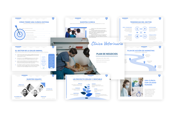 Un ejemplo gratuito de presentación de un proyecto de clínica veterinaria